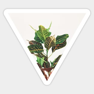 Croton Sticker